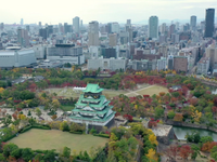 芥末留学