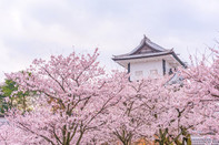 日本留學