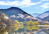 日本留學(xué)費(fèi)用