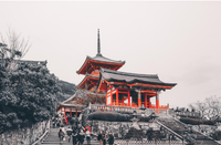 日本理工科留学