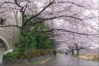 日本留学方案对比