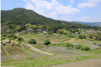 日本2026高度人才签证
