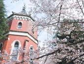 日本大學排名