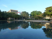 美國休斯頓大學(xué)