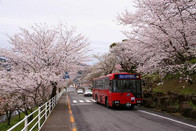 芥末留學