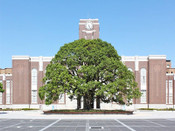 日本留学