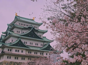 日本的物价