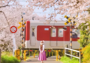 芥末留學(xué)