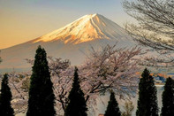 日本留學