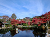日本近畿大學