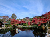 日本近畿大学