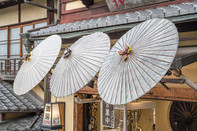 日本留学