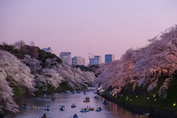 日本留学