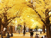 日本最佳大學(xué)