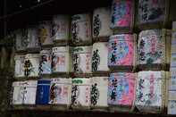 日本留学