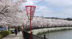 日本留學
