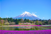 芥末留学