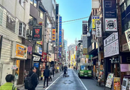 2026年日本语言学校学费