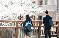 芥末留學