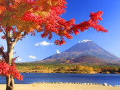 日本留學
