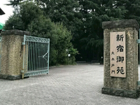 日本国公立 vs 私立大学对比
