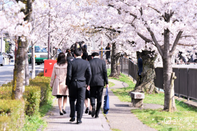 隐瞒学费、分班猫腻、出勤率红线！日本语校 10 条内部潜规则