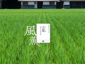 芥末留學