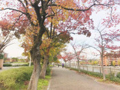 日本留學