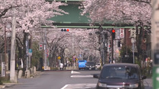 日本留學(xué)