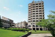 日本留学吗
