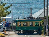 日本留学