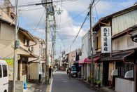 日本留学