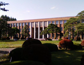 日本大学排名