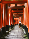 日本留学