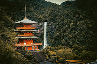 日本留学
