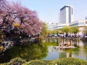 仁荷大學