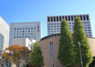 上智大學(xué)