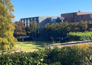 日本留学