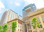 日本大學