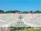 芥末留学