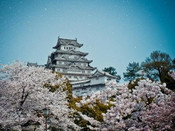 芥末留學(xué)