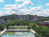 芥末留学