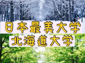 北海道大學