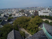 日本留學(xué)