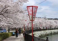 芥末留學