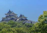 日本留學(xué)