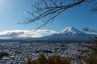 日本留学