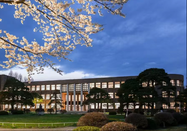 日本大學