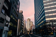 日本留学