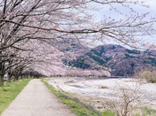 日本留学